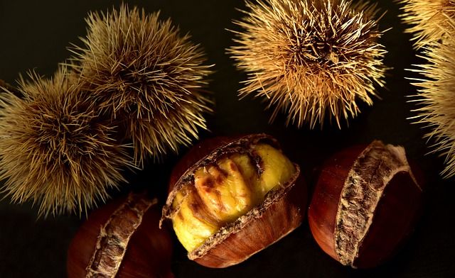 Castagne_e_ricci_OK.jpg