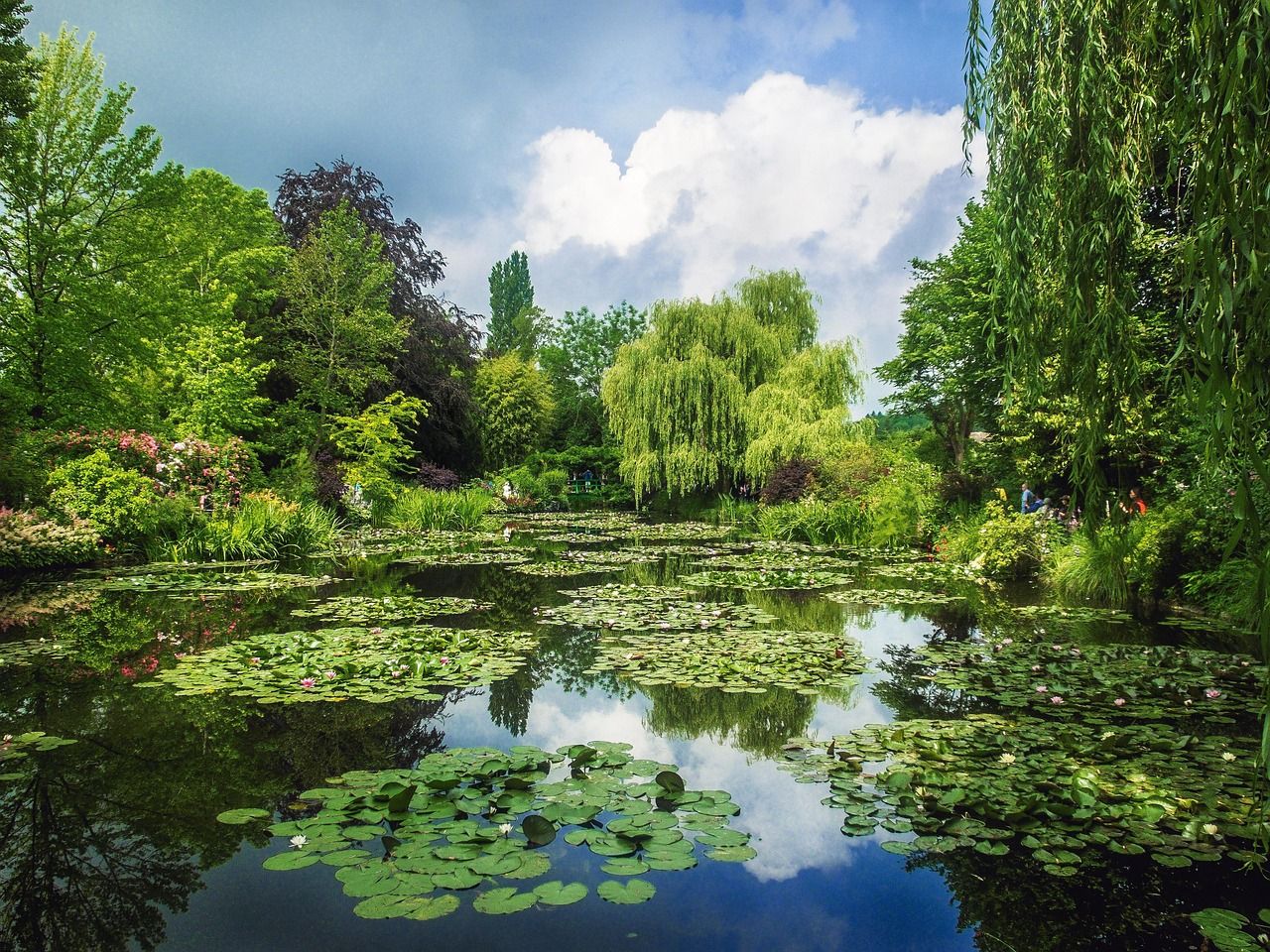 Giverny_-_Giardino_Monet_OK.jpg