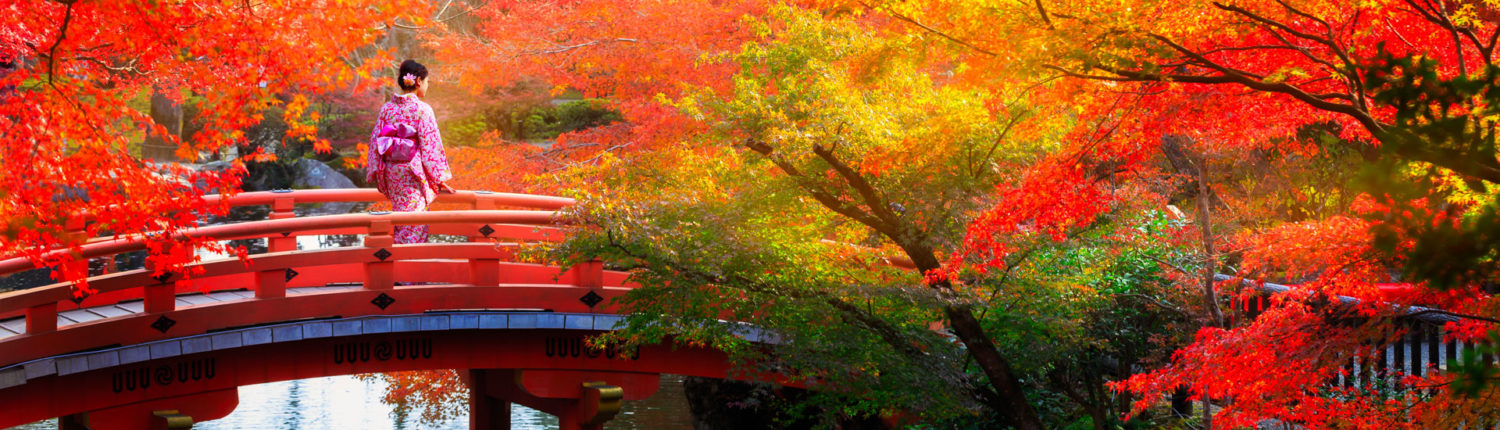 Giappone tour Arashiyama